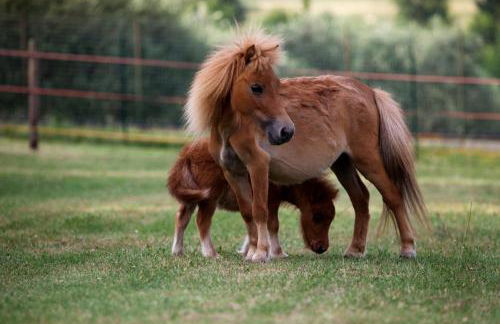 Agriturismo La Casa Di Rodo - Foto 30