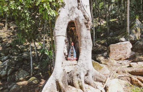 Casas de Vidro - Hospedar com Propósito - Foto 70