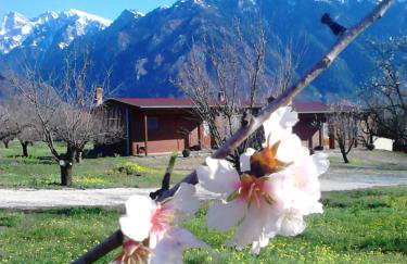 Villa Rustica - Photo 80