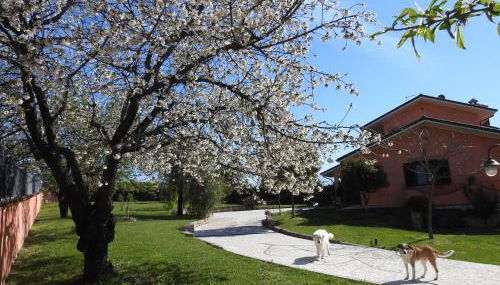 Alloggio Turistico Confortevole Passo Corese - Foto 3, Garden