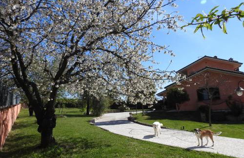 Alloggio Turistico Confortevole Passo Corese - Foto 3