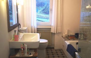 Little Rhine View Château - EG Apartment - Foto 37