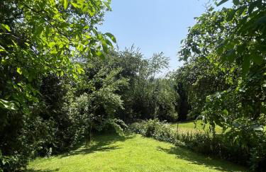 Die grüne Bleibe im Pfälzer Wald - Foto 17