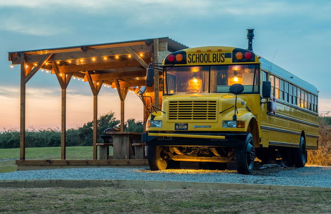 American School Bus - Blossom Farm - Foto 27