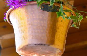 Robertalagocomo - Foto 15