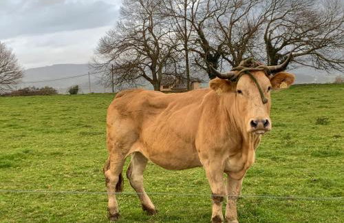 Casa Otilia - Rural - Camino de Santiago - Arzúa - Foto 62