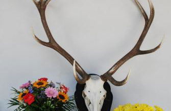 WASCHHAUS - Ferienhaus in Grassau im Chiemgau - Foto 42