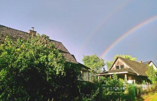 MorzeLas Chata Białowieża - Foto 30