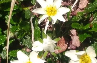 Villgraterhof - Foto 34