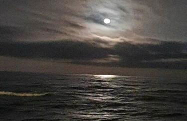 T2 cosy à la plage, terrasse vue sur mer et parking privatif - Photo 22