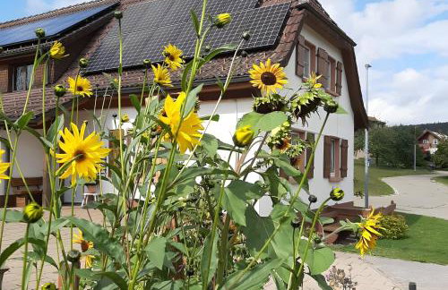 Ferienwohnung Boch Schluchsee - Foto 31