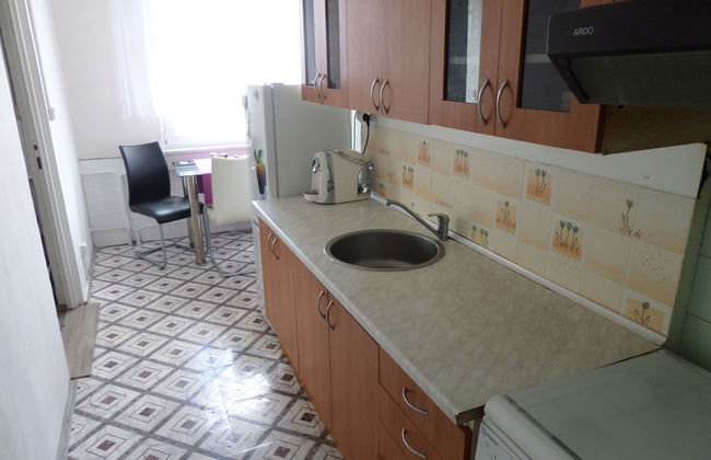 Apartmán Trutnov - Foto 5