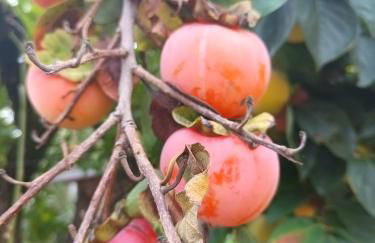 Narniandum Est Locazione Turistica - Foto 68