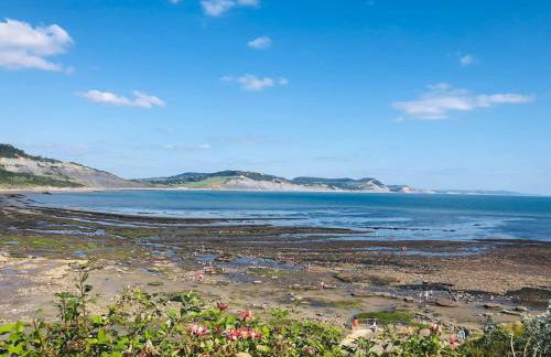 Sea Cliff View Designer Home - Photo 36