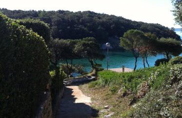 Villa Matovica - Photo 37