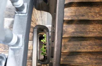 Dijon Hypercentre - Loge Des Ducs - Foto 23