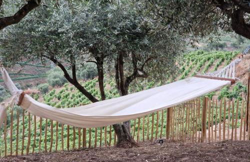 maison du olival - Foto 58