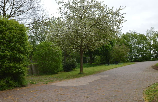 Comfy Apartment in Gransdorf With Garden - Foto 26