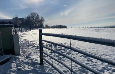 Villa-Maru 80qm Ferienwohnung - Foto 51