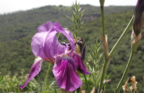 Casa Guaitoli - Foto 23