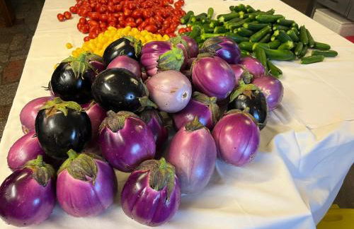 Agriturismo Alla Vigna - Foto 10