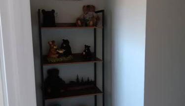 The Bears Den at the Lake - Foto 4