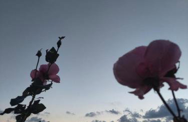 Apartmani NIKA - Photo 40