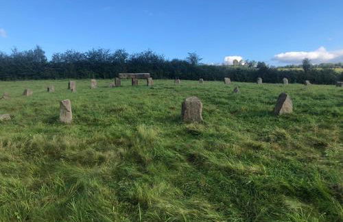 Villa Hainberg - Foto 68