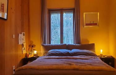 Grande maison savoyarde ensoleillée - Foto 20