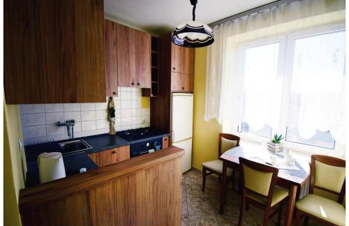 Color 24 - Złoty Punkt - Foto 5