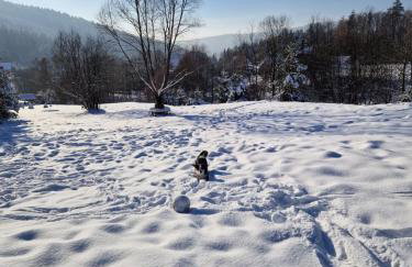 Garden Apartament Kurnik - Foto 35