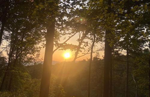 Cuckoo Cabin, Tyn Y Cwm - Photo 26
