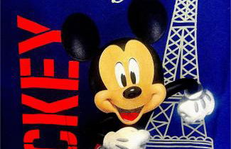 Family's house - Villa proche de la vallée village et Disneyland paris ,2 parkings, air condition - Foto 44