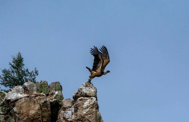 Balade en bateau sur le Tage - Photo 4
