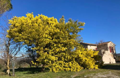Le Giuncaie - Vigna con alloggio - Foto 28