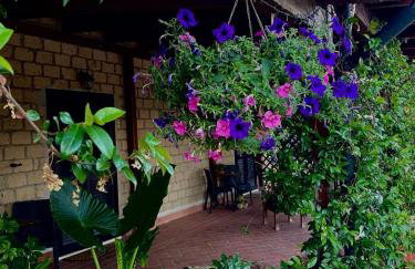 Agriturismo Antiglia - Foto 15