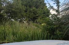 Gîte 4 pers proche cure thermale, Futuroscope, calme et nature à La Roche Posay - Foto 17