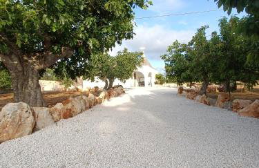 Demetra Trulli Experience - Foto 4