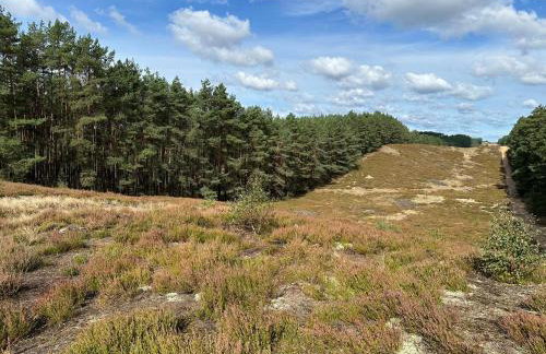 Apartamenty Chojno-Młyn 46 - Foto 28