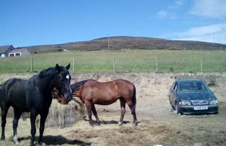 Scorrabrae Orphir Mainland Orkney South Shore Retreat - Photo 49