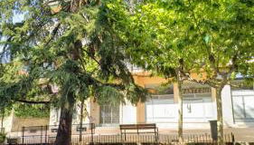 El Cedro Llorón - Foto 5