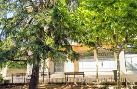 El Cedro Llorón - Foto 5