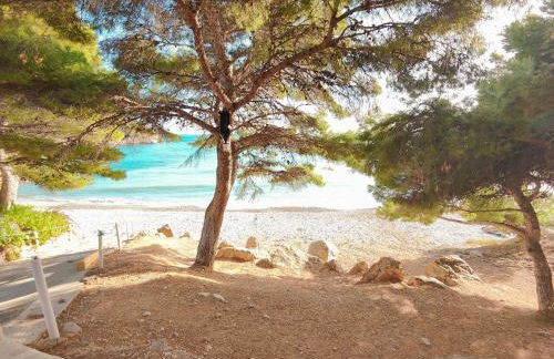 Luxury Apartments Mascarat - Photo 31