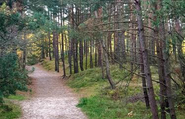 Baltic Porto-Porto 36 - Photo 20