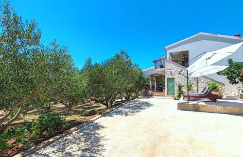 Olive garden Platinum, Posedarje - Photo 58