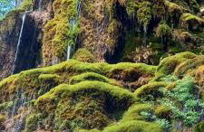 Gîte La Mosaïque - Foto 20