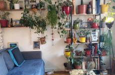 Charmant 2 pièces à Arcueil Calme, tout équipé RER B, Maison des Examens - Foto 1