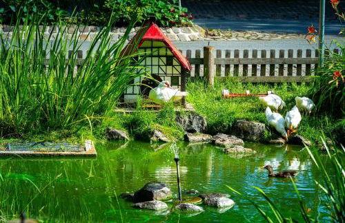 Landhaus am Schlosspark FeWo 4 - Foto 42