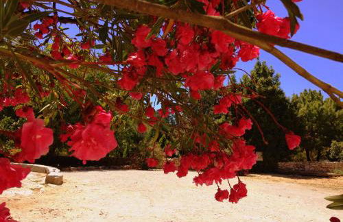 Otium Country House - Foto 8