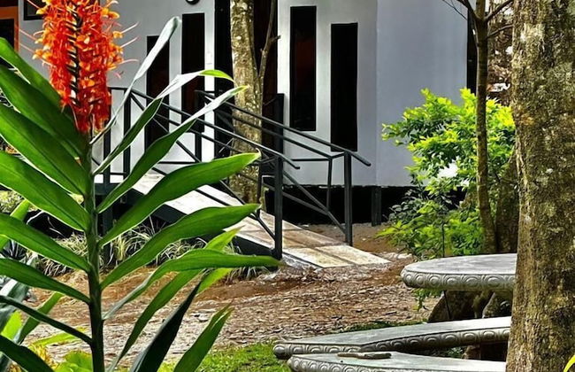 Cabañas Roca Verde Monteverde - Foto 59